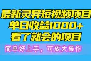 (10542期)最新灵异短视频项目,单日收益1000+看了就会的项目,简单好上手可放大操作