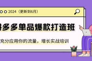 (11556期)2024拼多多-单品爆款打造班(更新6月),充分应用你的流量,增长实战培训