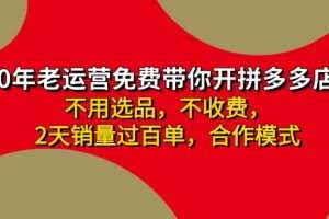 (11576期)拼多多-合作开店日入4000+两天销量过百单,无学费、老运营教操作、小白…