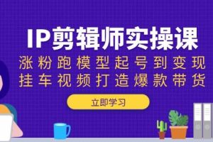 （13980期）IP剪辑师实操课：涨粉跑模型起号到变现，挂车视频打造爆款带货