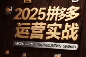 （15235期）2025拼多多运营实战：店铺定位选品技巧，爆款打造全流程解析（更新6月）